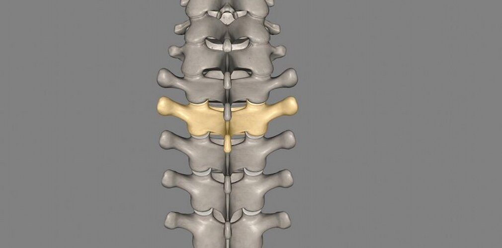 Minimally Invasive Spinal Surgery