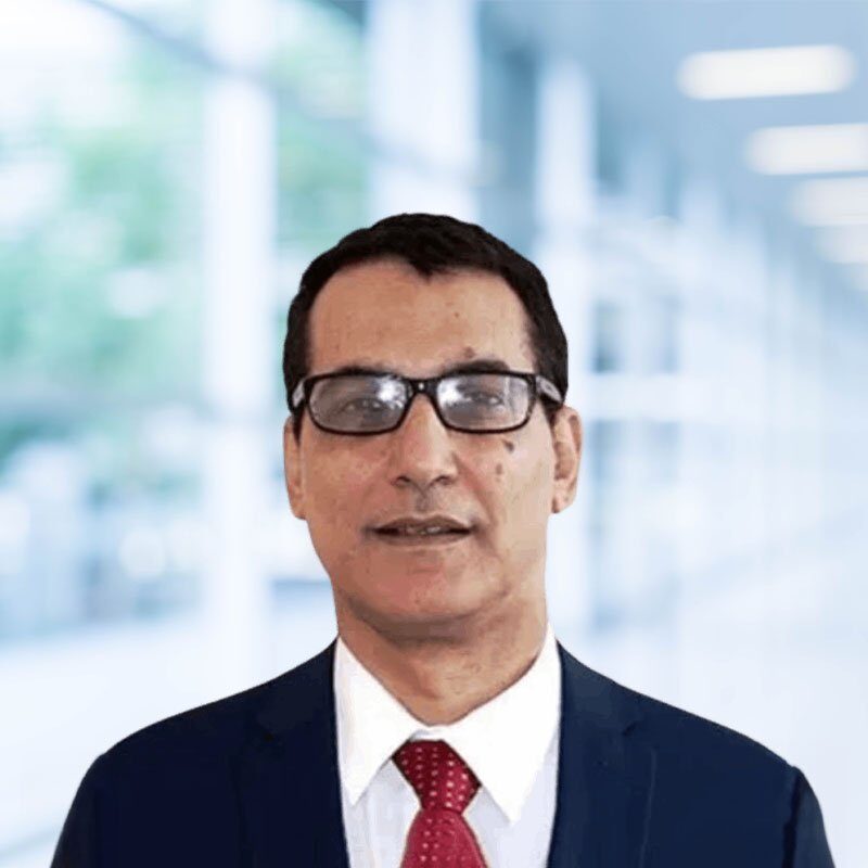 Mr. Ahmed Medhat Hussien