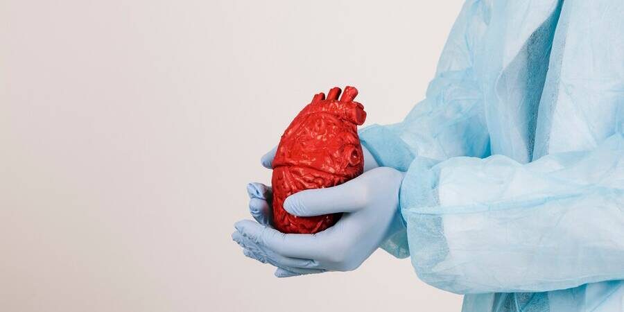 Cardiology