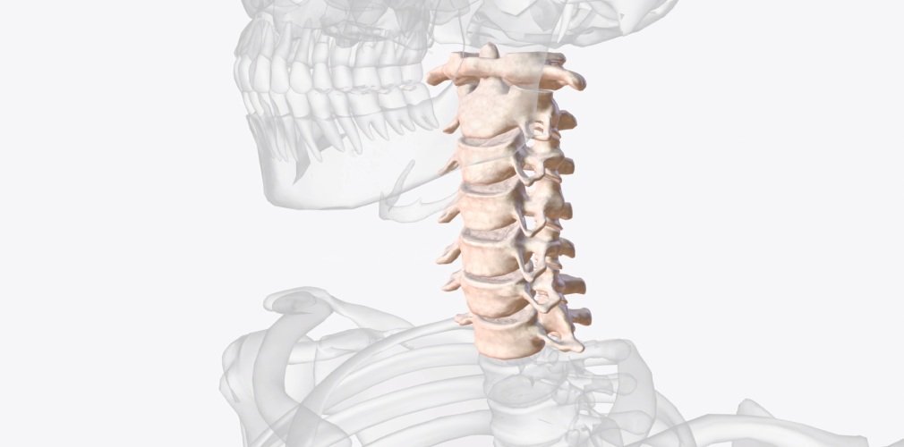Cervical Disc Replacement